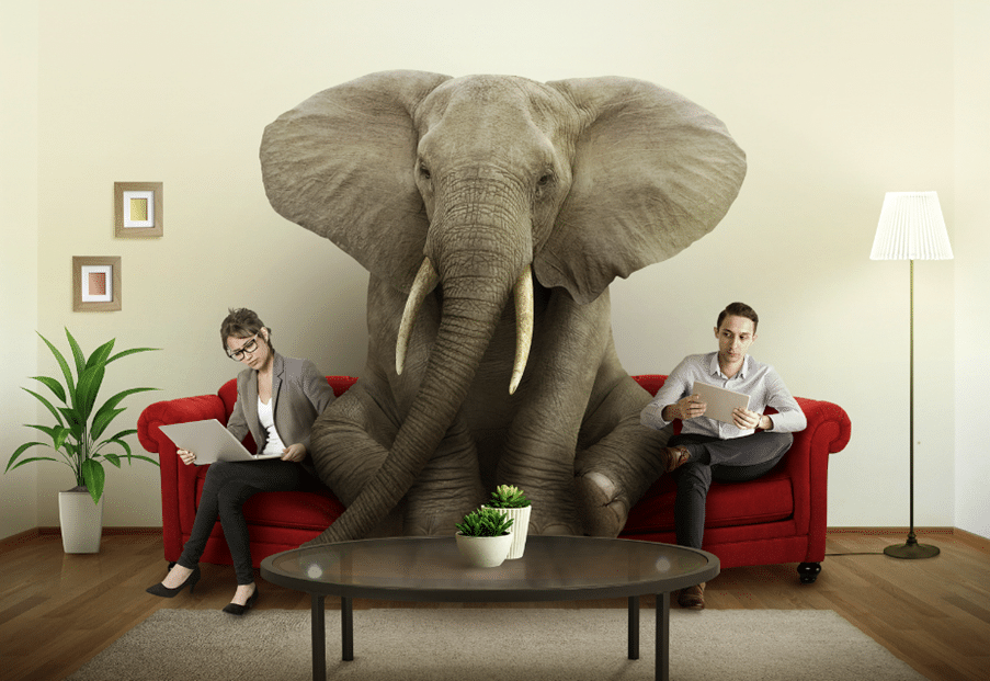 Elephant in the room